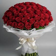 Букет 101 Красная роза Блэк Мэджик в Орловском Ростовской области