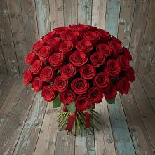 Букет 55 Красных роз Фридом #REPLACE_PRED# Орловском Ростовской области