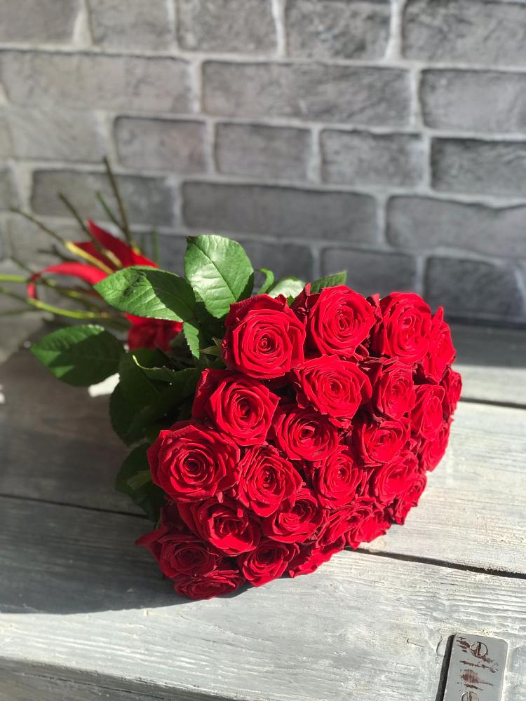 Букет Красные розы Фридом в Орловском Ростовской области