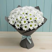 Букет цветов из:  Хризантемы в Орловском Ростовской области