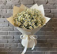 Букет цветов из:  Ромашки в Орловском Ростовской области