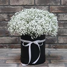 Цветочная композиция из Гипсофила в шляпной коробке #REPLACE_PRED# Орловском Ростовской области