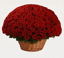 Премиум букет из: Розы в Орловском Ростовской области